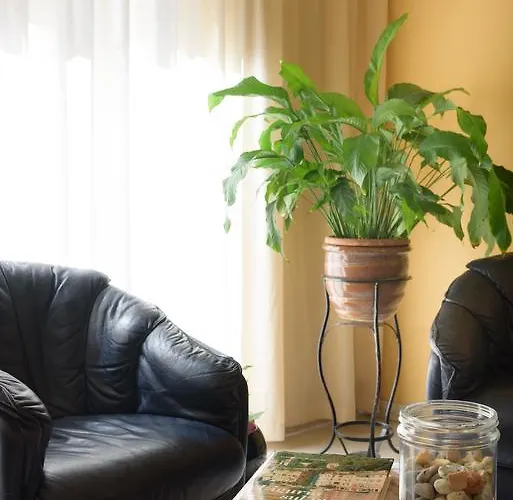 Morchio Mhotelsgroup